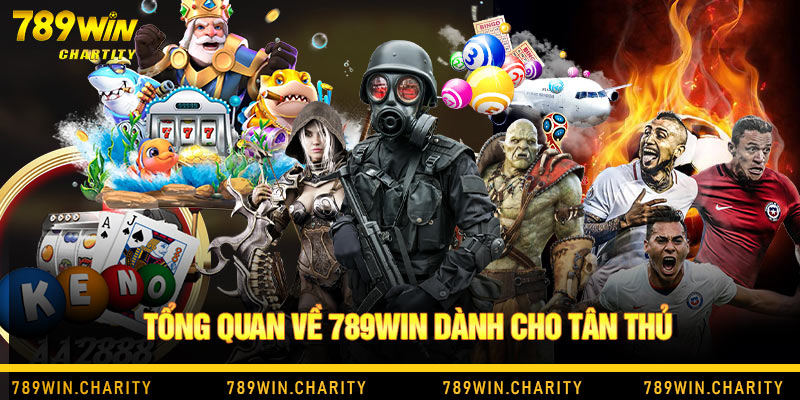 Tổng quan về 789Win dành cho tân thủ