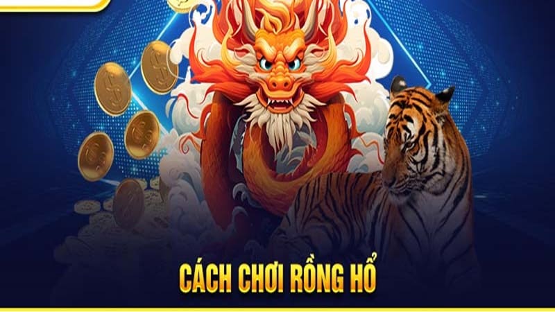 Một số cửa cược cơ bản trong cách chơi rồng hổ